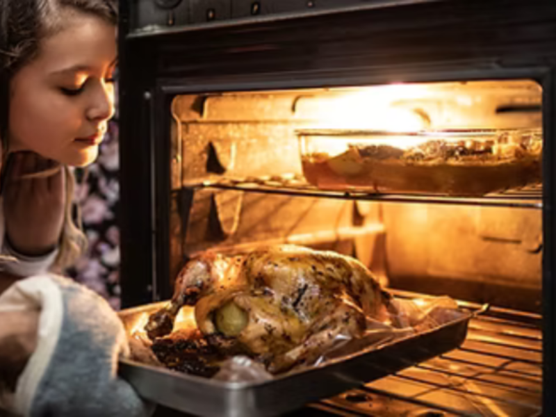 Electric oven repair